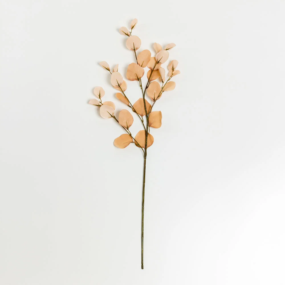Φωτογραφία προϊόντος: FRANCE EUCALYPTUS ΚΛΑΔΙ ΤΕΧΝΗΤΟ 90cm POLYESTER ΜΠΕΖ ΚΑΦΕ