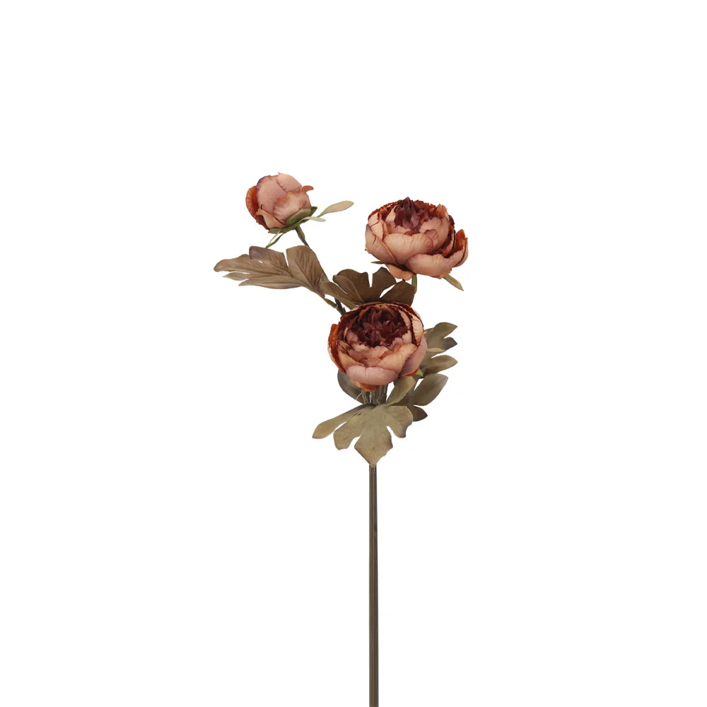 Φωτογραφία προϊόντος: PEONY ΛΟΥΛΟΥΔΙ ΤΕΧΝΗΤΟ 65cm ΥΦΑΣΜΑ ΣΟΜΟΝ ΜΠΟΡΝΤΩ ΠΡΑΣΙΝΟ PVC