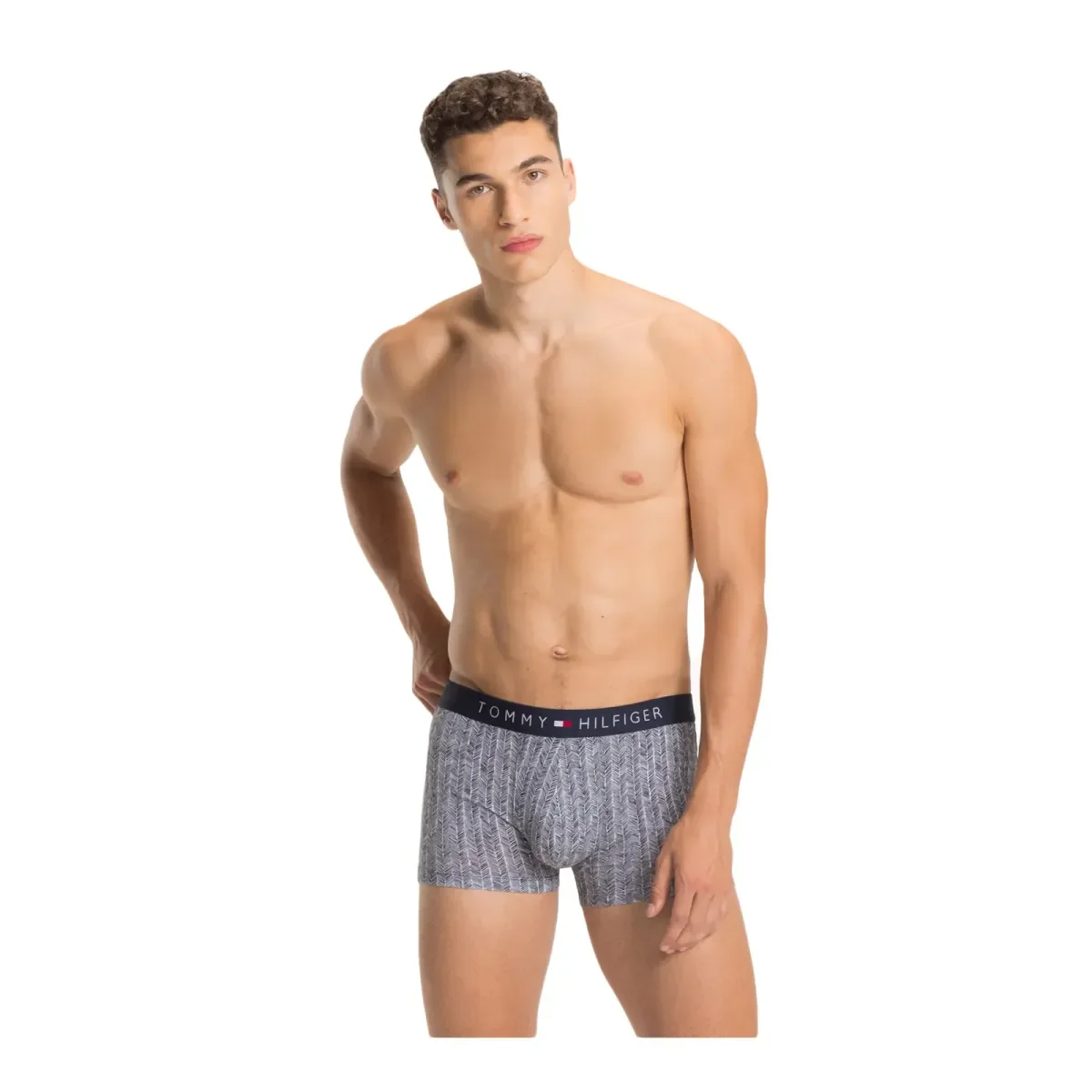 Φωτογραφία προϊόντος: Tommy Hilfiger Ανδρικό Boxer Holiday Trunk, Χρώμα Γκρι Σχέδιο