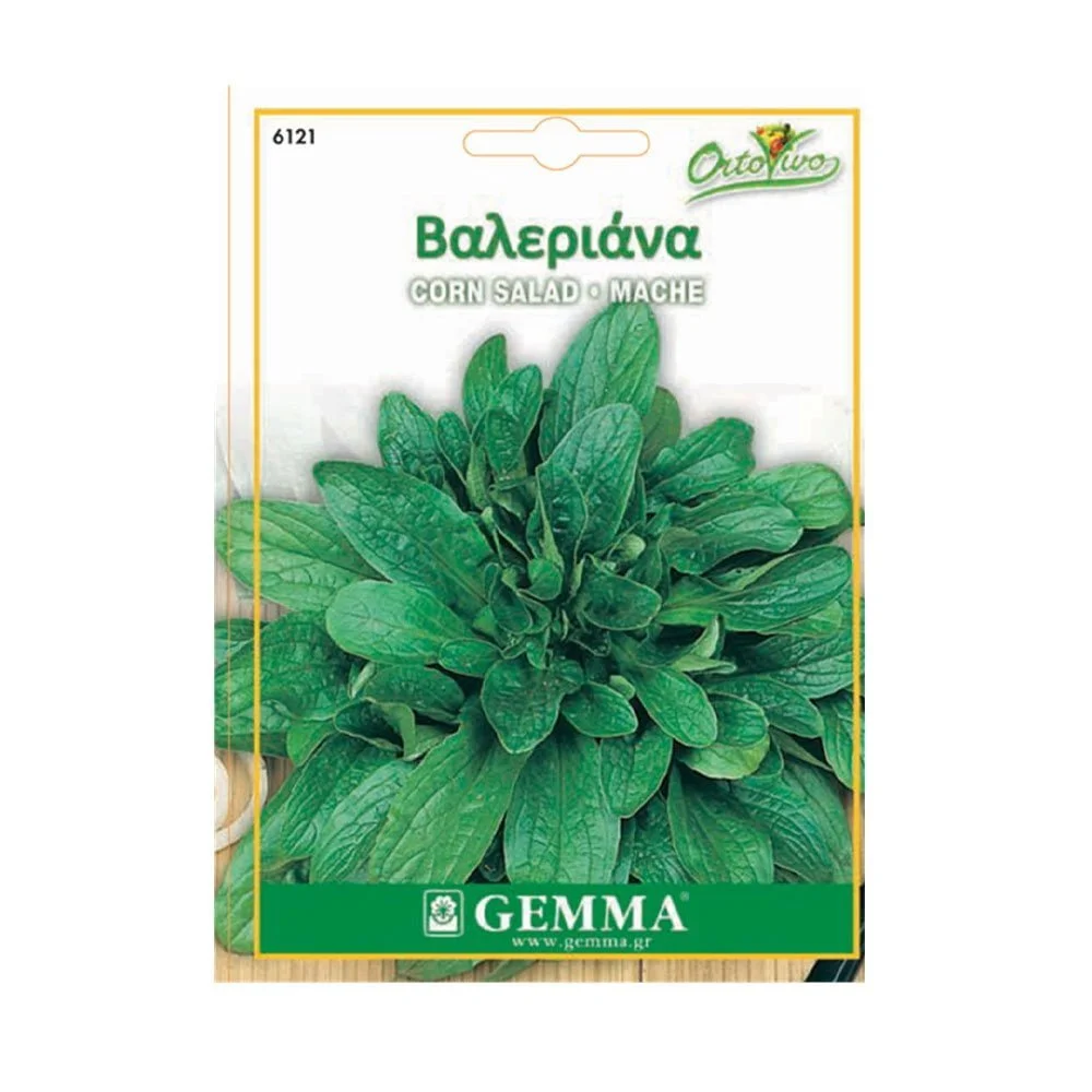 Φωτογραφία προϊόντος: Gemma Βαλεριάνα - 6121