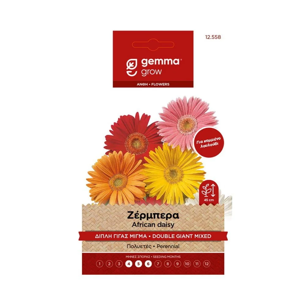 Φωτογραφία προϊόντος: Gemma Ζέρμπερα Διπλή Γίγας Μίγμα - 12558