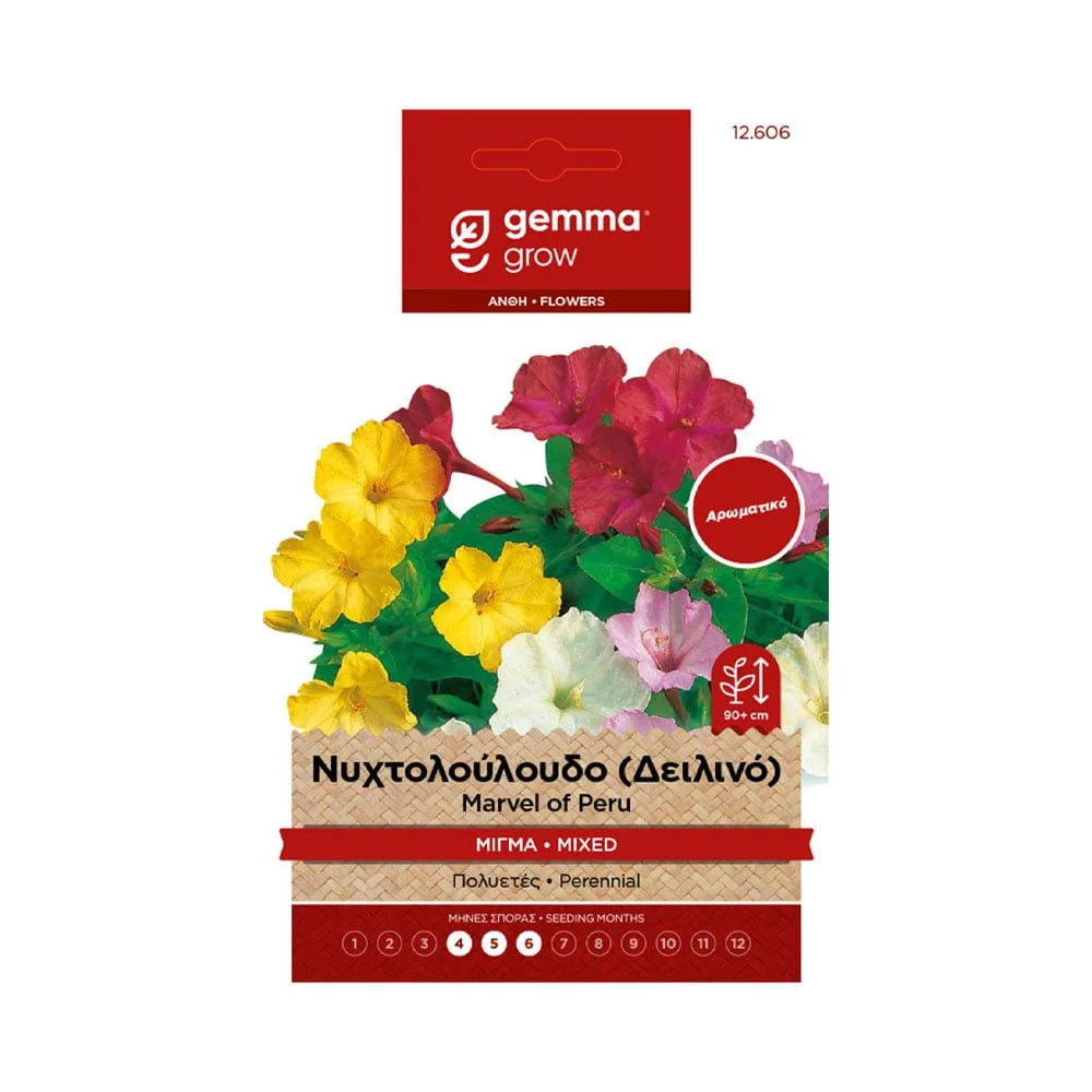 Φωτογραφία προϊόντος: Gemma Νυχτολούλουδο (Δειλινό) Μίγμα - 12606