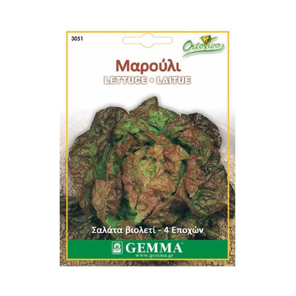 Φωτογραφία προϊόντος: Gemma Μαρούλι Βιολετί - 3051