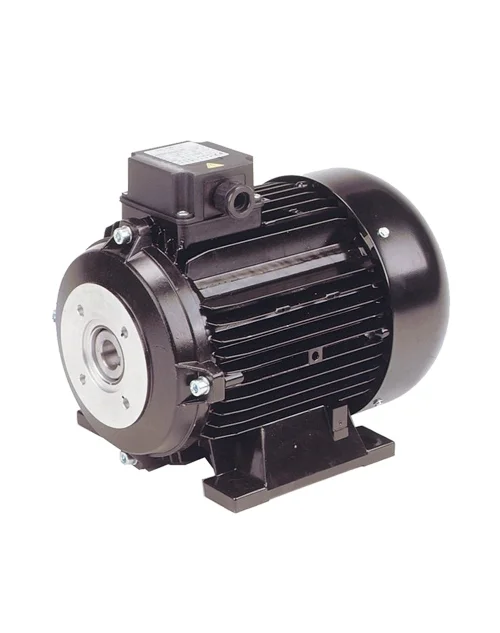 Φωτογραφία προϊόντος: ΜΟΤΕΡ 380V 3HP/1400RPM ΗΛΕΚΤΡΙΚΟΣ ΚΙΝΗΤΗΡΑΣ ΦΛΑΤΖΩΤΟΣ ΜΕΣΑ ΑΞΟΝΑ