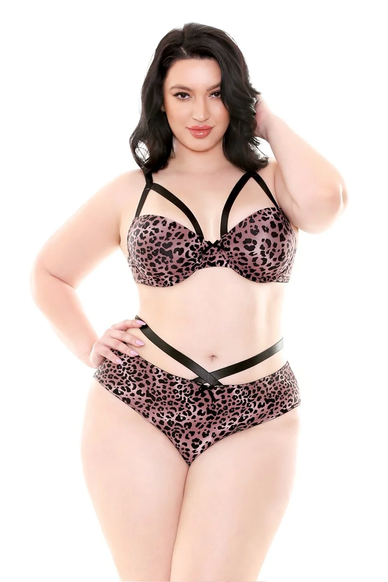 Φωτογραφία προϊόντος: JOCELYN BRA SET / XXXL