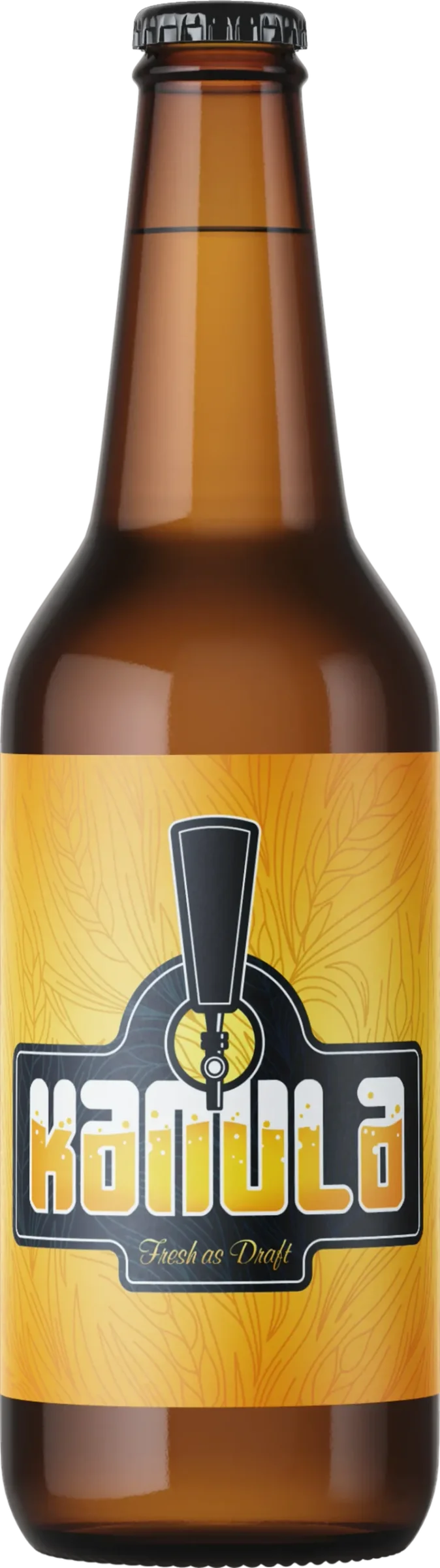 Φωτογραφία προϊόντος: KANULA 500ml