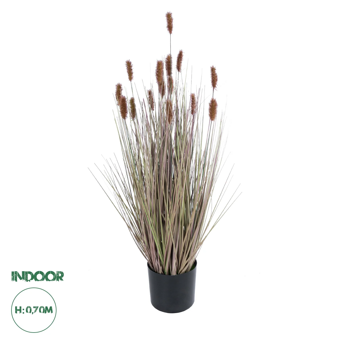Φωτογραφία προϊόντος: GloboStar® Artificial Garden BROWN LAGURUS 21099 Διακοσμητικό Φυτό Καφέ Λαγοουρά Υ70cm
