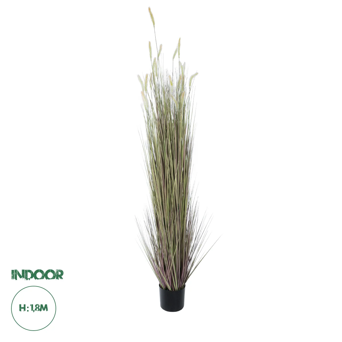 Φωτογραφία προϊόντος: GloboStar® Artificial Garden BEIGE LAGURUS 21104 Διακοσμητικό Φυτό Μπεζ Λαγοουρά Υ180cm