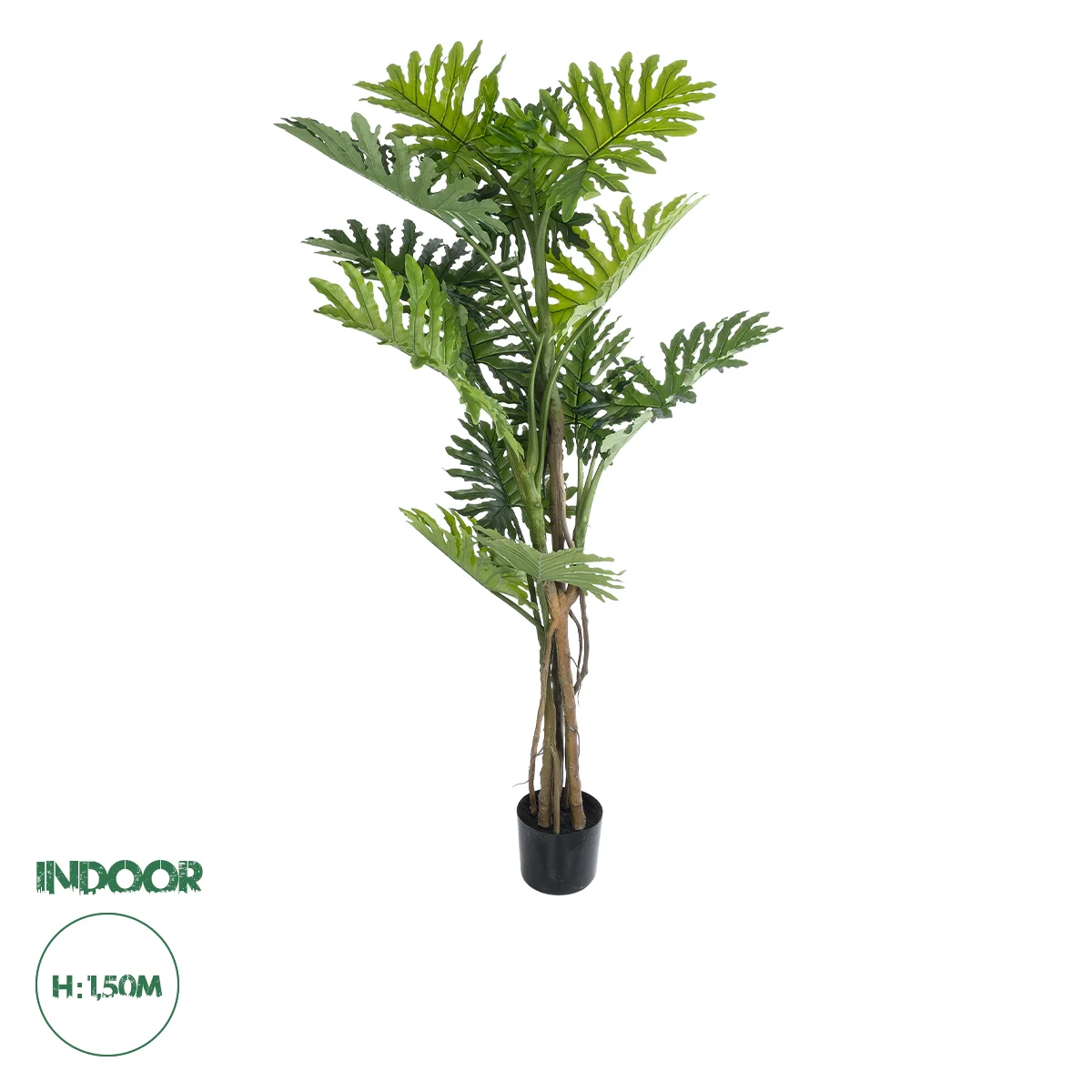 Φωτογραφία προϊόντος: GloboStar® Artificial Garden PHILODENDRON 20684 Τεχνητό Διακοσμητικό Φυτό Φυλλόδενδρο Υ150cm
