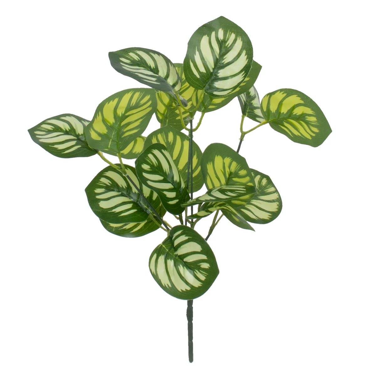 Φωτογραφία προϊόντος: GloboStar® GREEN PEPEROMIA 78286 Τεχνητό Φυτό Πεπερόμια Πράσινη - Μπουκέτο Διακοσμητικών Φυτών - Κλαδιών με Φύλλωμα Πράσινο - Λευκό Υ33cm