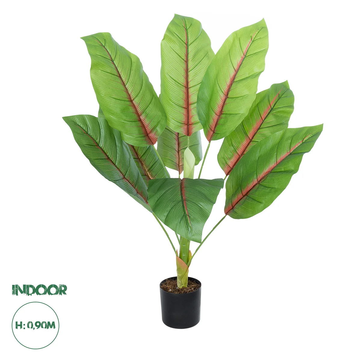 Φωτογραφία προϊόντος: GloboStar® Artificial Garden BLOOD BANANA PLANT 20944 - Διακοσμητικό Φυτό Αιματόφυλλη Μπανανιά Φ70 x Υ90cm