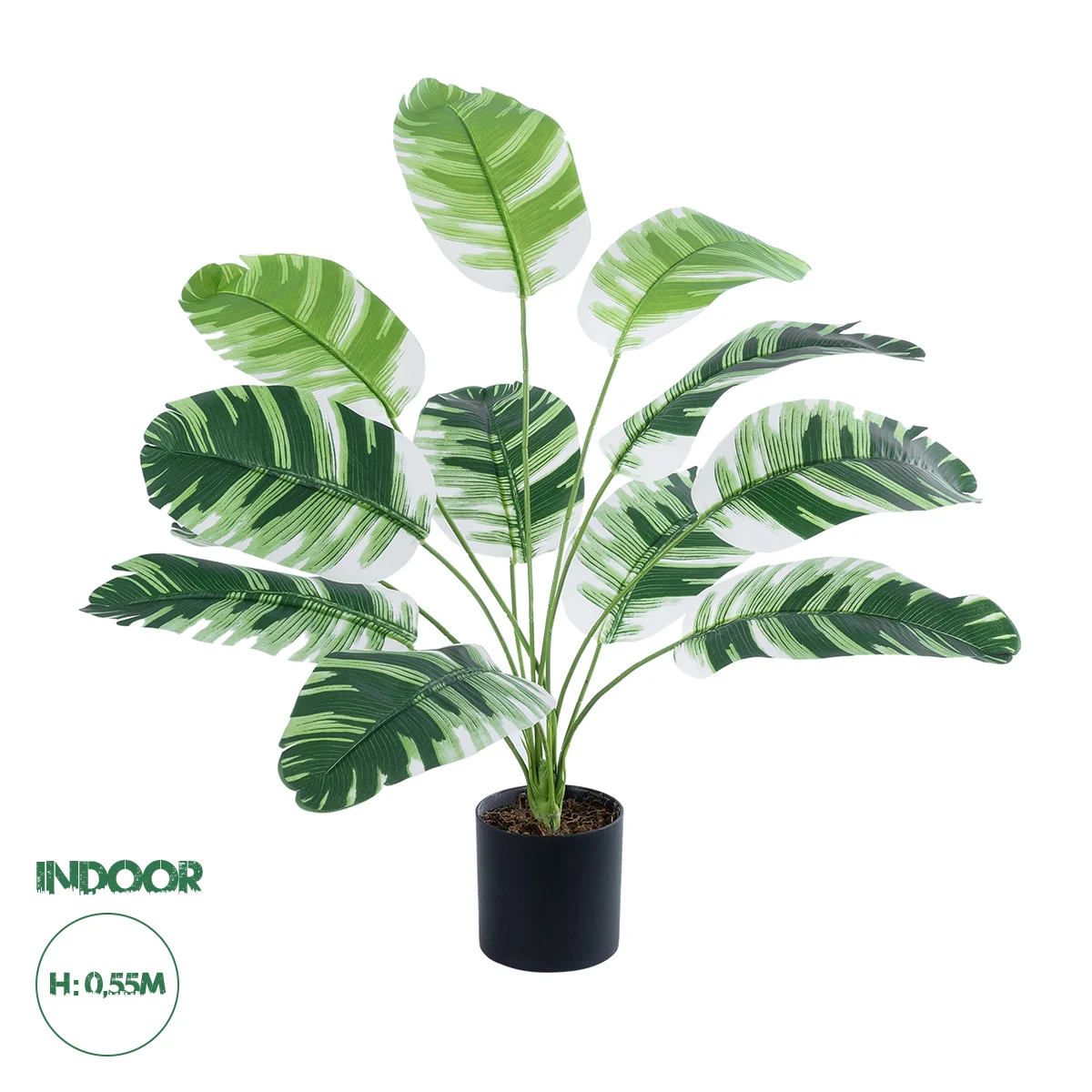 Φωτογραφία προϊόντος: GloboStar® Artificial Garden BANANA PLANT ZEBRA 20929 - Διακοσμητικό Φυτό Μπανανιά Ζέβρα Φ70 x Υ55cm