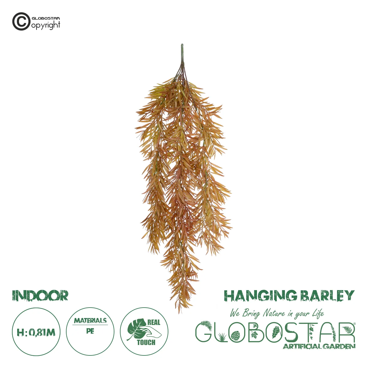Φωτογραφία προϊόντος: GloboStar® Artificial Garden HANGING BARLEY 20856 Τεχνητό Διακοσμητικό Κρεμαστό Φυτό Κριθάρι Μ26 x Π15 x Υ81cm
