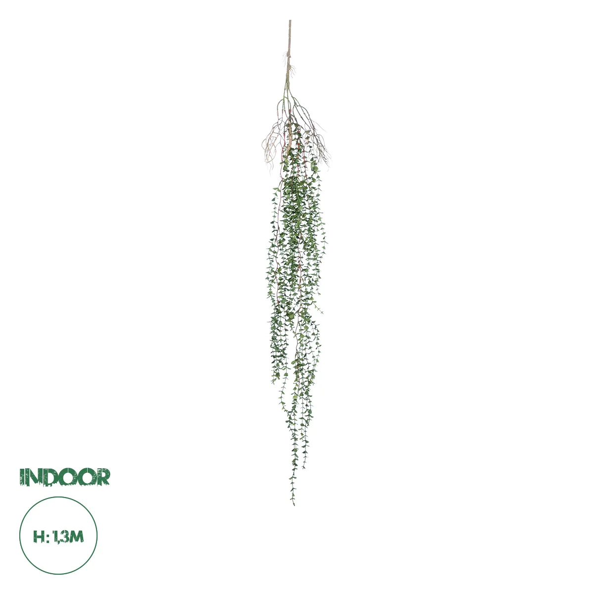 Φωτογραφία προϊόντος: GloboStar® Artificial Garden EUCALYPTUS HANGING PLANT 20618 Τεχνητό Διακοσμητικό Κρεμαστό Φυτό Ευκάλυπτος Υ130cm