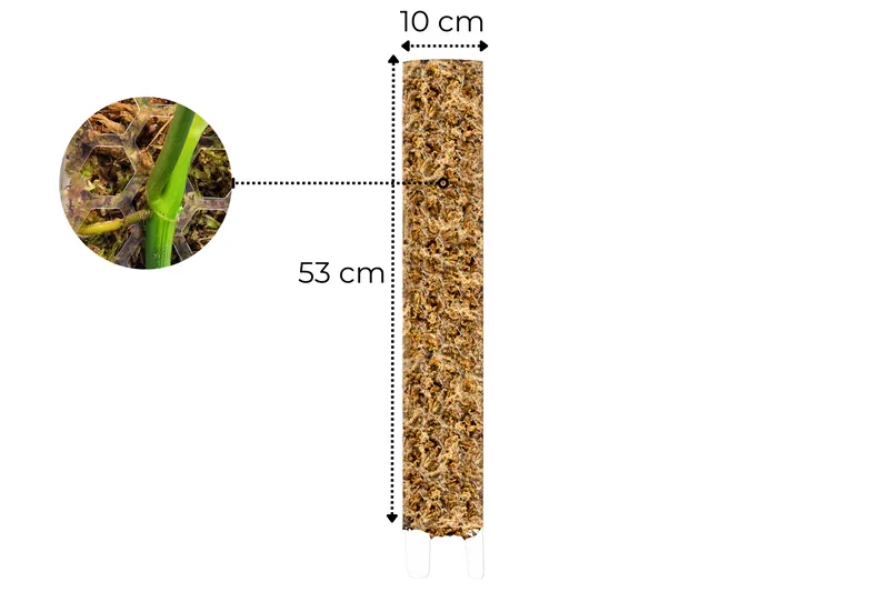 Φωτογραφία προϊόντος: Moss Pole Crystal Clear XLarge 53cm x 10cm