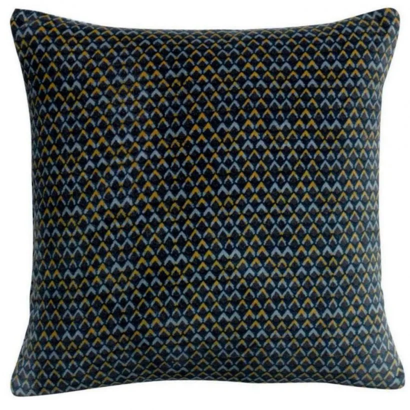 Φωτογραφία προϊόντος: ΜΑΞΙΛΑΡΙ VIVARAISE VERA ENCRE 45x45 100% ΒΑΜΒΑΚΕΡΟ ΒΕΛΟΥΔΟ