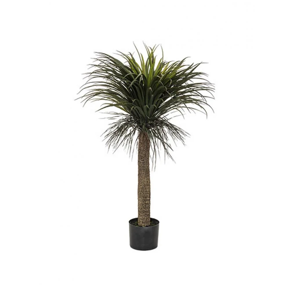 Φωτογραφία προϊόντος: Plastona Τροπικό Yucca σε κασπώ Η150cm