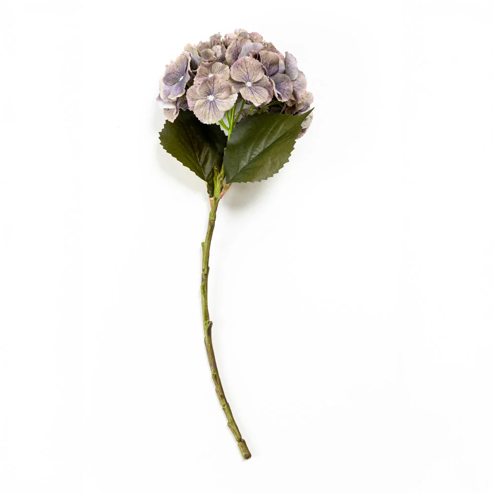 Φωτογραφία προϊόντος: HYDRANGEA ΛΟΥΛΟΥΔΙ ΤΕΧΝΗΤΟ 52cm POLYESTER ΠΡΑΣΙΝΟ ΜΩΒ ΠΡΑΣΙΝΟ