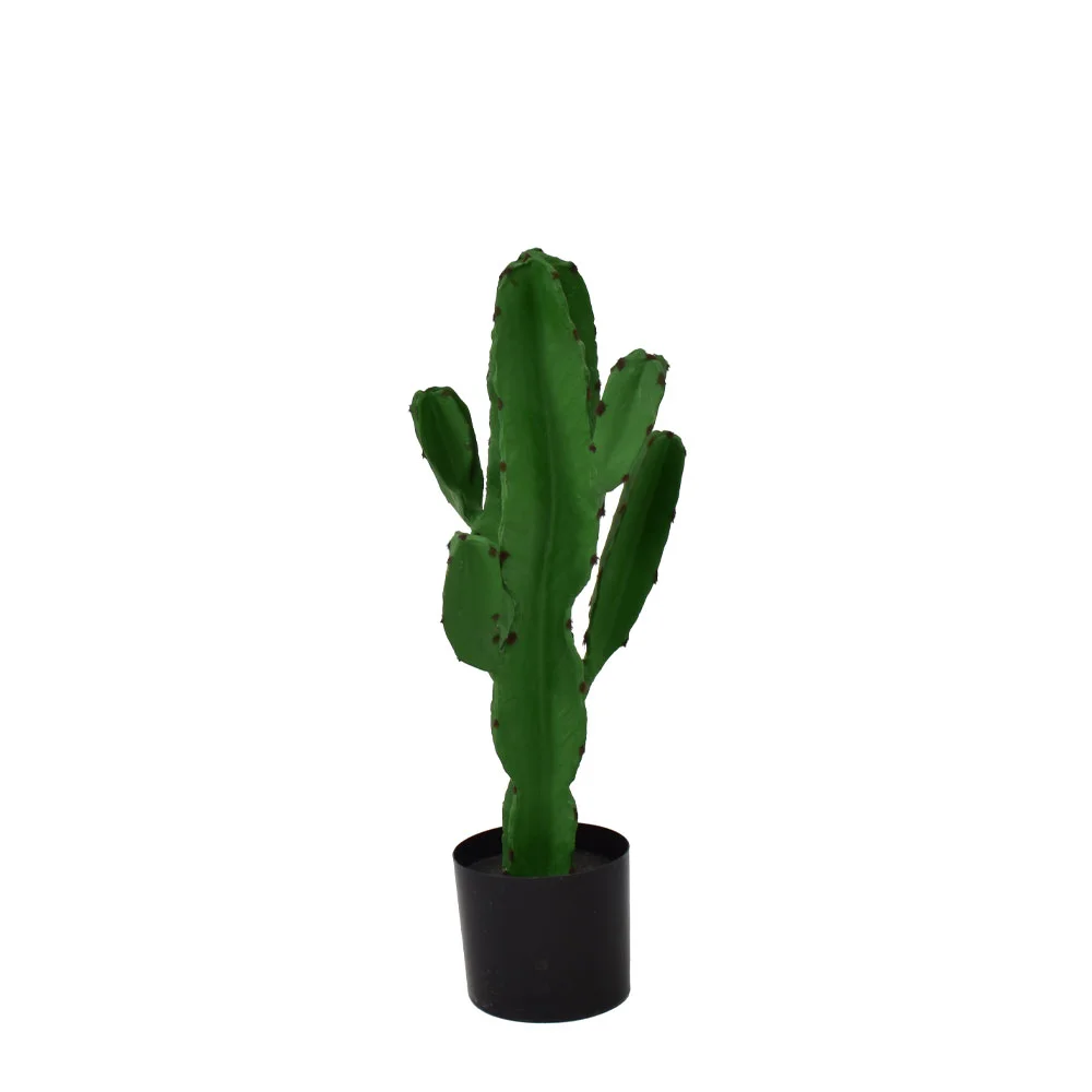 Φωτογραφία προϊόντος: CANDELABRA CACTUS ΦΥΤΟ ΤΕΧΝΗΤΟ ΣΕ ΓΛΑΣΤΡΑ 70cm PU ΠΡΑΣΙΝΟ