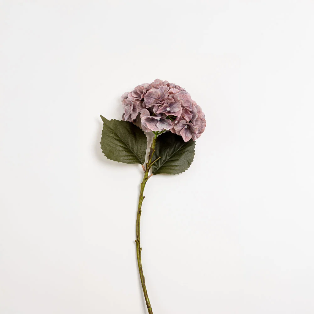 Φωτογραφία προϊόντος: HYDRANGEA ΛΟΥΛΟΥΔΙ ΤΕΧΝΗΤΟ 52cm POLYESTER DUSTY PINK ΠΡΑΣΙΝΟ