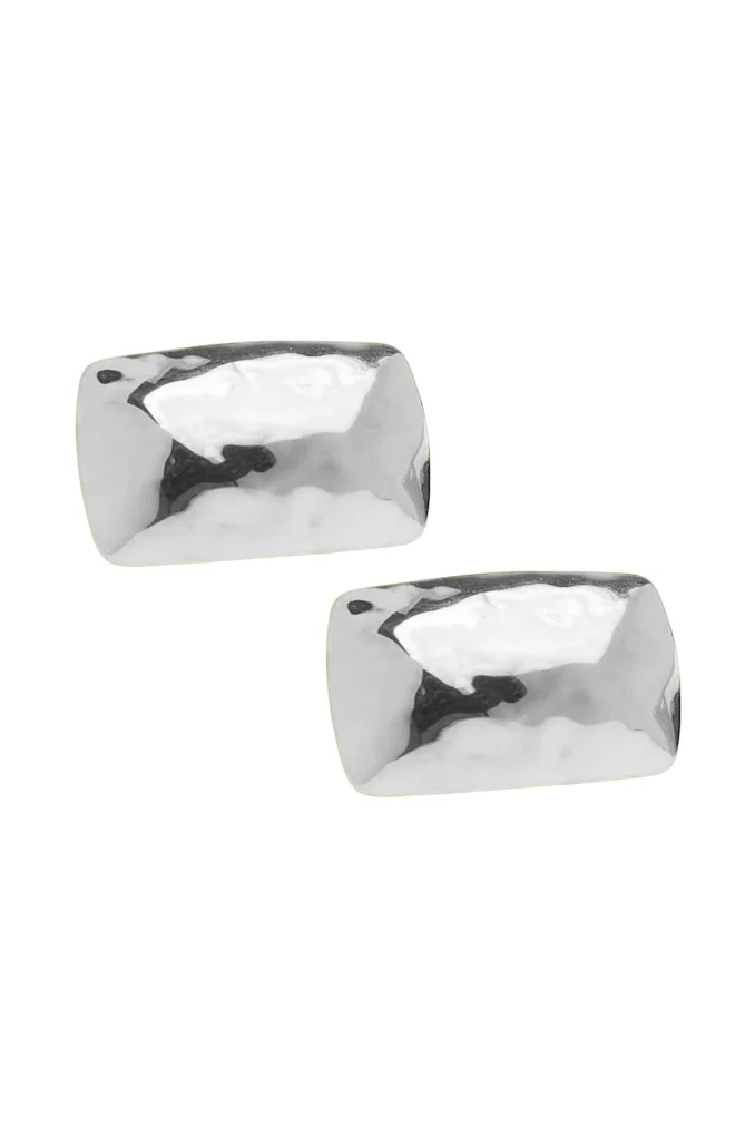 Φωτογραφία προϊόντος: Regalis England Silver Large Steel Earrings 40mm(Ανοξείδωτο Ατσάλι)
