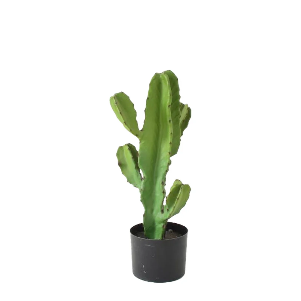 Φωτογραφία προϊόντος: CANDELABRA CACTUS ΦΥΤΟ ΤΕΧΝΗΤΟ ΣΕ ΓΛΑΣΤΡΑ 55cm PU ΠΡΑΣΙΝΟ