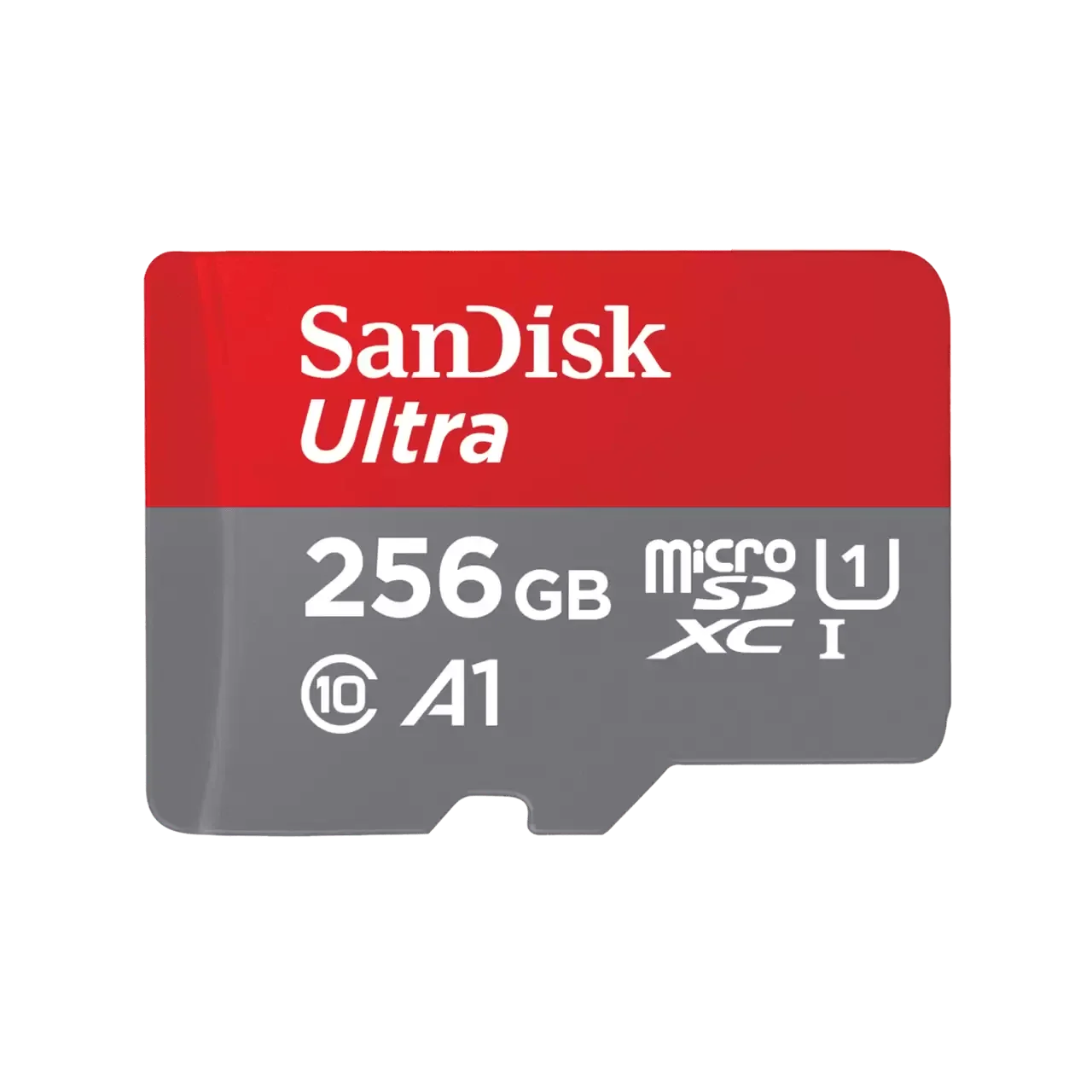 Φωτογραφία προϊόντος: 1P7SND-SDSQUA4/256G/GN6MA