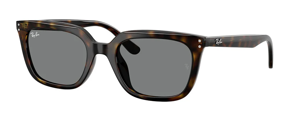 Φωτογραφία προϊόντος: RAY-BAN 4439D 710/87