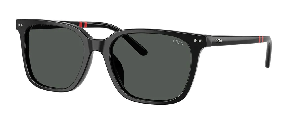 Φωτογραφία προϊόντος: POLO RALPH LAUREN 4235U 500187