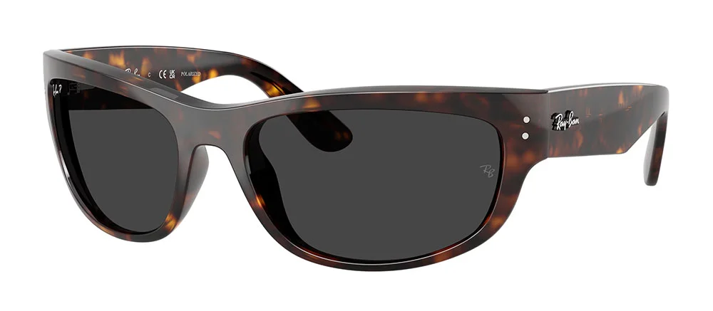 Φωτογραφία προϊόντος: RAY-BAN 2289 902/48