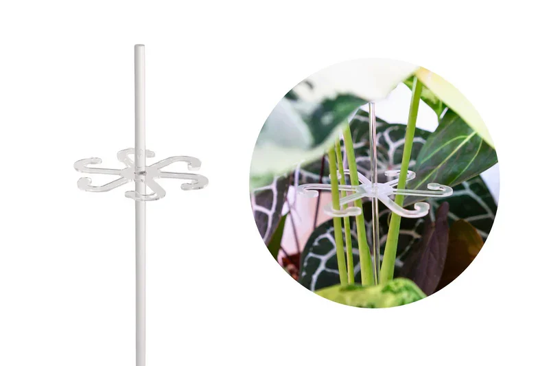 Φωτογραφία προϊόντος: Support Leaf Hooks 45mm "Άγκιστρα φύλλων στήριξης στελέχους"
