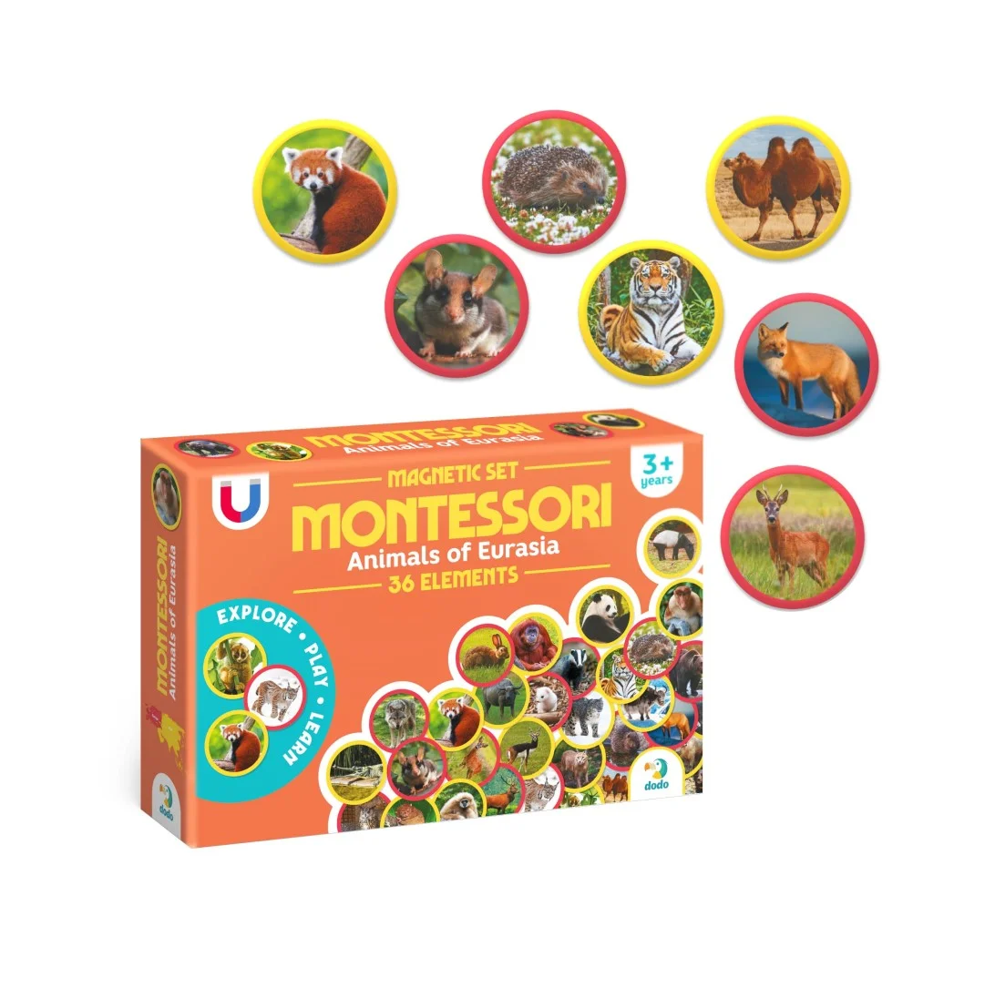 Φωτογραφία προϊόντος: Dodo Games Montessori Ζώα Ευρώπης και Ασίας - Μαγνητικό Σετ