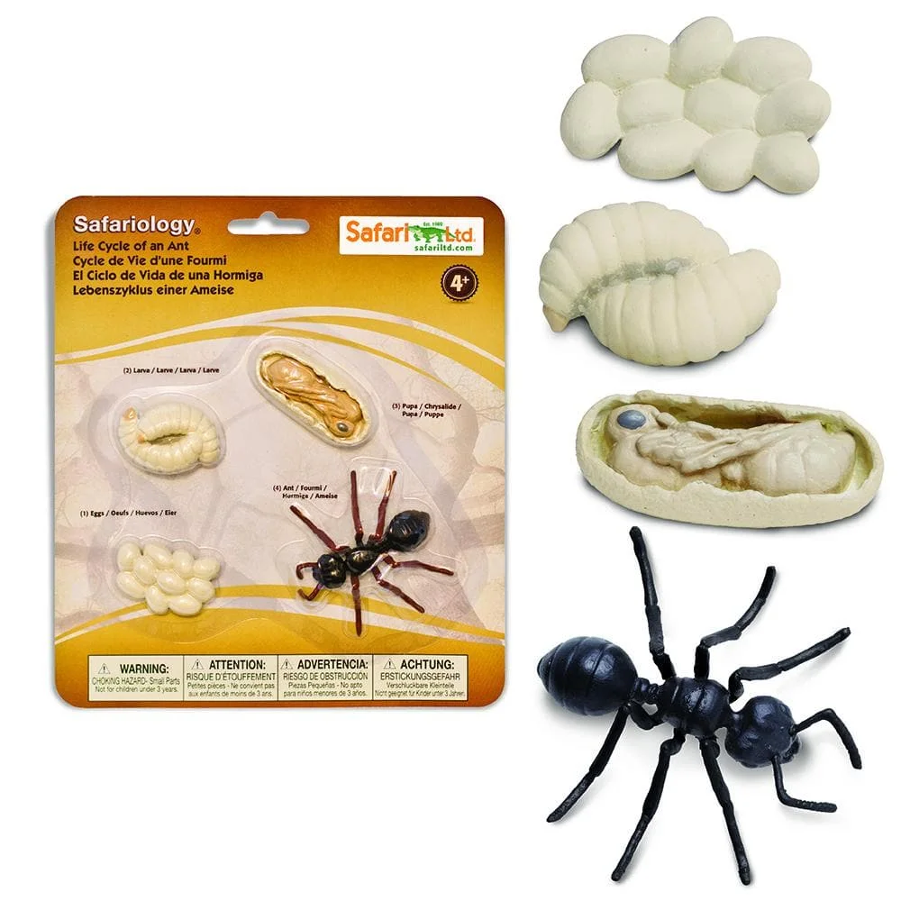 Φωτογραφία προϊόντος: Safari - Μινιατούρες Safari - Life Cycle of an Ant - Κύκλος Ζωής ενός Μυρμηγκιού
