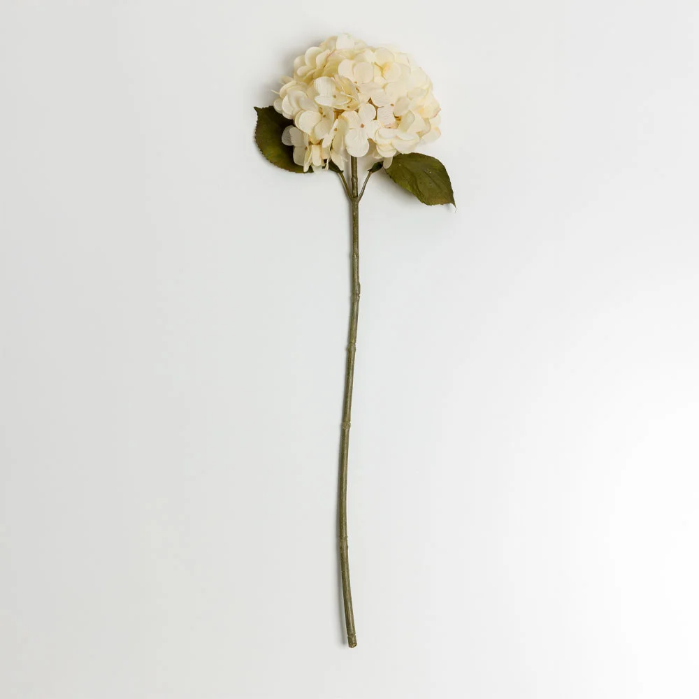 Φωτογραφία προϊόντος: HYDRANGEA ΛΟΥΛΟΥΔΙ ΤΕΧΝΗΤΟ 67cm POLYESTER ΜΠΕΖ ΠΡΑΣΙΝΟ