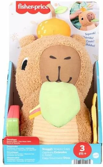 Φωτογραφία προϊόντος: Fisher Price Καπιμπάρα Αισθητηριακή Αγκαλιά με Ήχους 1τμχ