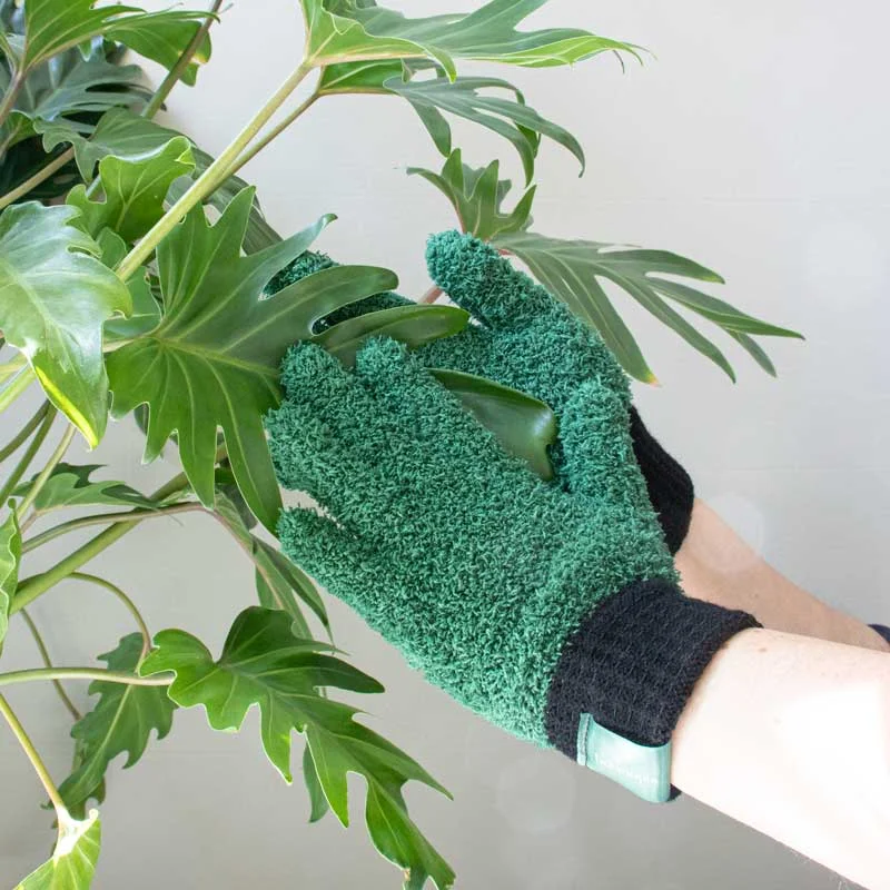 Φωτογραφία προϊόντος: Leaf Love Gloves -Γάντια καθαρισμού