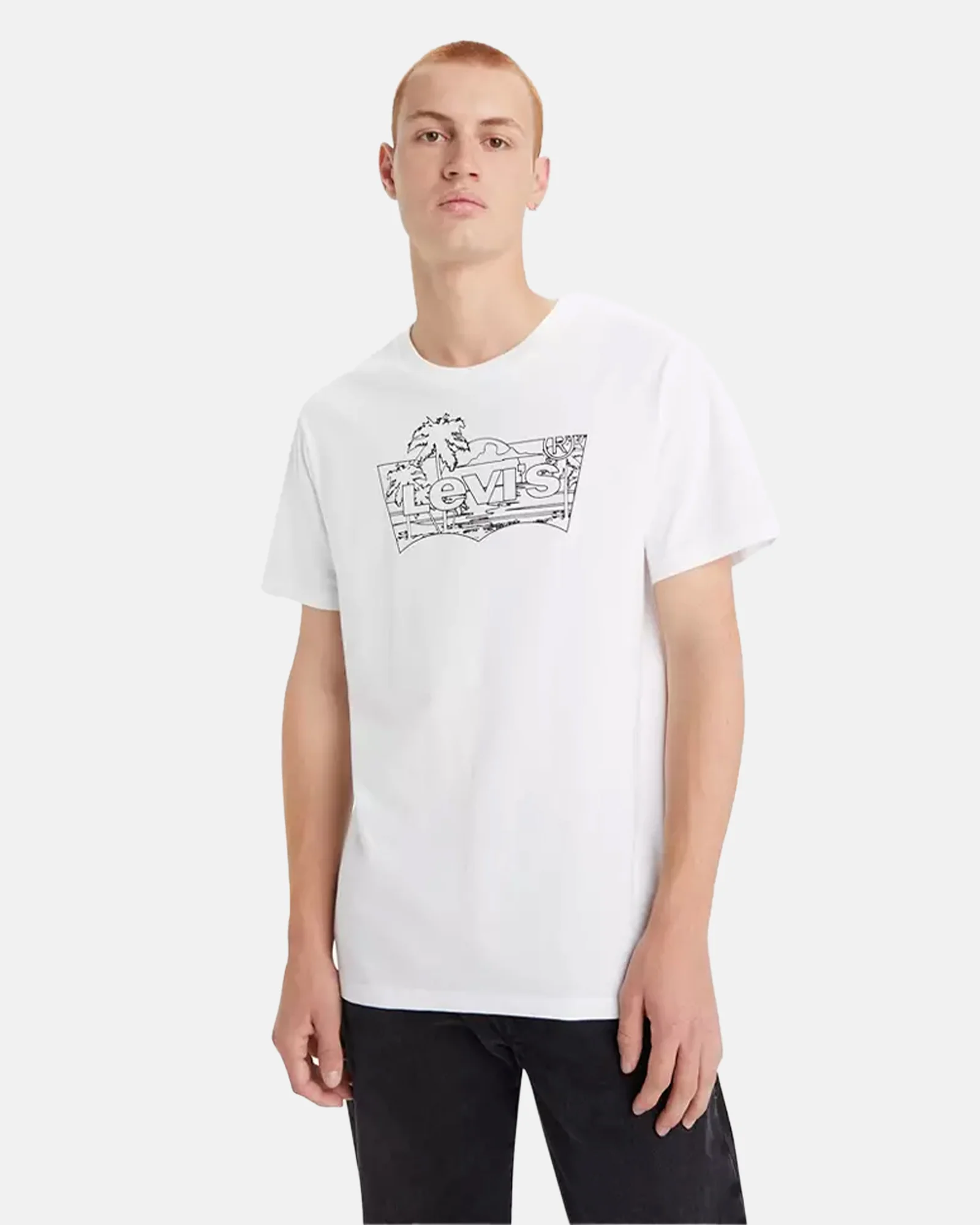 Φωτογραφία προϊόντος: LEVI'S LEVI S CLASSIC GRAPHIC TEE 76 #ffffff