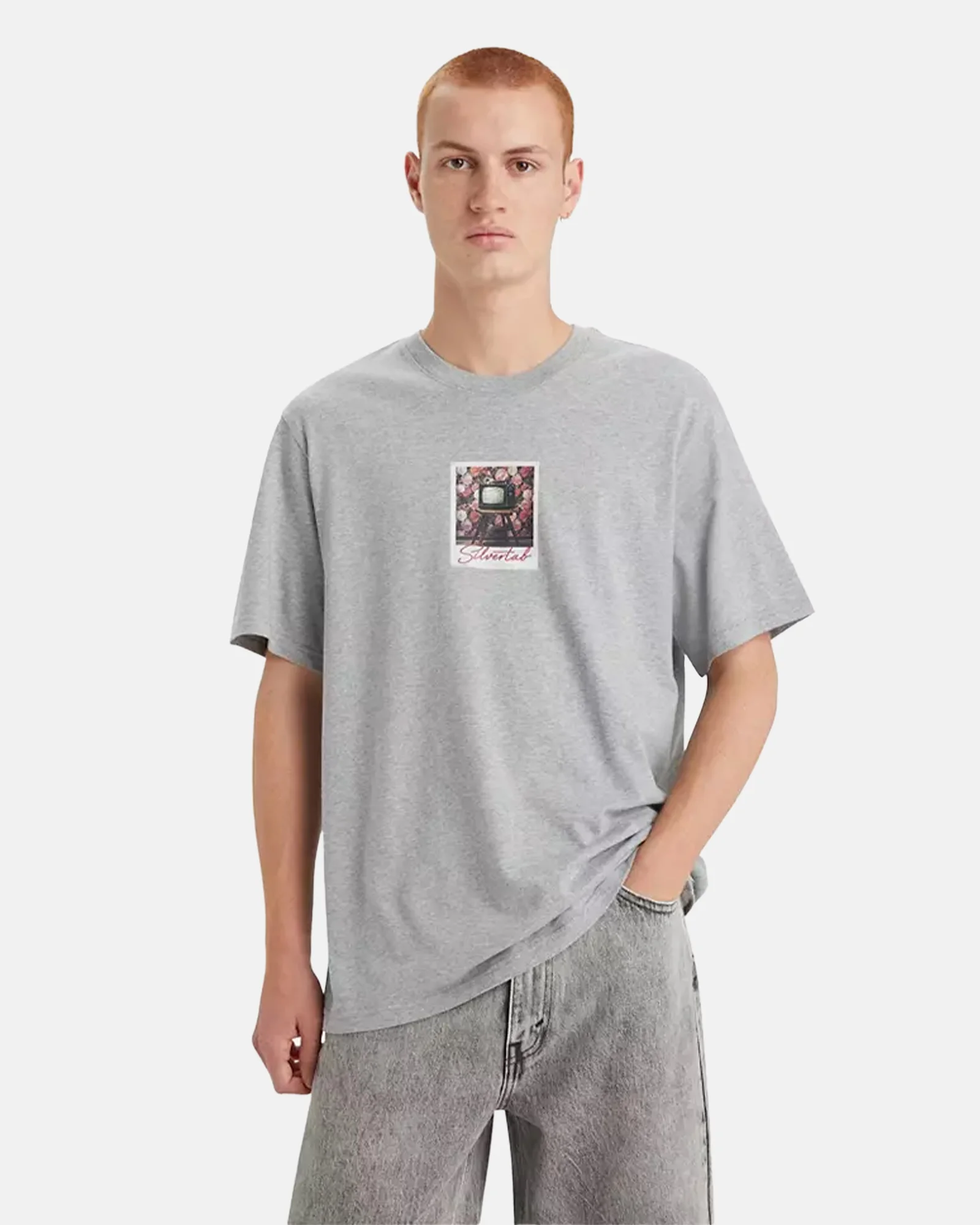 Φωτογραφία προϊόντος: LEVI'S LEVI S RELAXED FIT GRAPHIC TEE 38 #b5b4b7