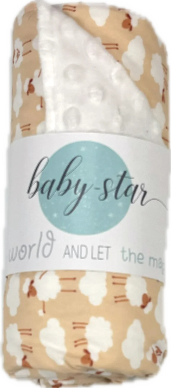 Φωτογραφία προϊόντος: BABY STAR Κουβέρτα MINKY ΠΡΟΒΑΤΟ ΕΚΡΟΥ SMALL