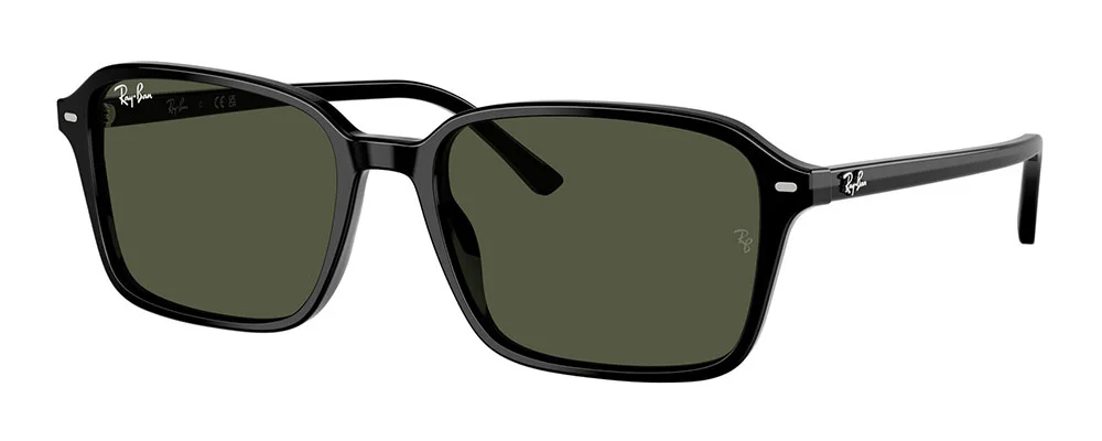 Φωτογραφία προϊόντος: RAY-BAN 2231 901/31