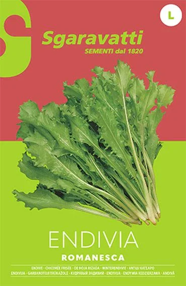 Φωτογραφία προϊόντος: ΣΠΟΡΟΙ ΑΝΤΙΔΙ ROMANESCA sgaravatti