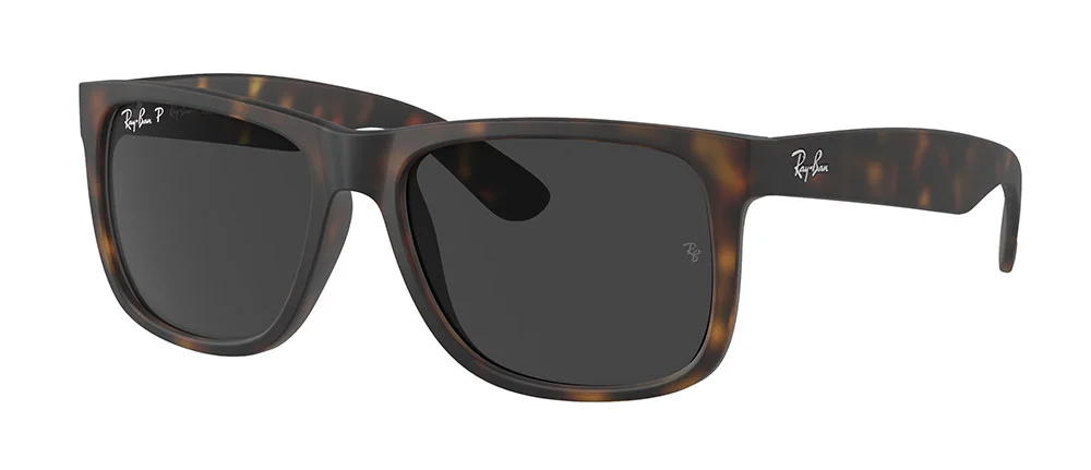 Φωτογραφία προϊόντος: RAY-BAN 4165 865/87