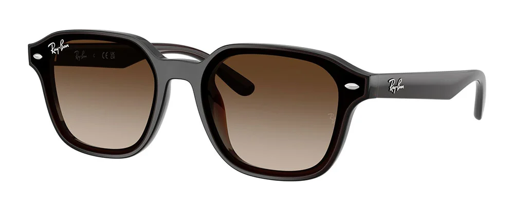 Φωτογραφία προϊόντος: RAY-BAN 4458D 714/13