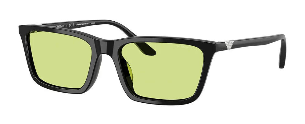 Φωτογραφία προϊόντος: EMPORIO ARMANI 4239U 5017/2
