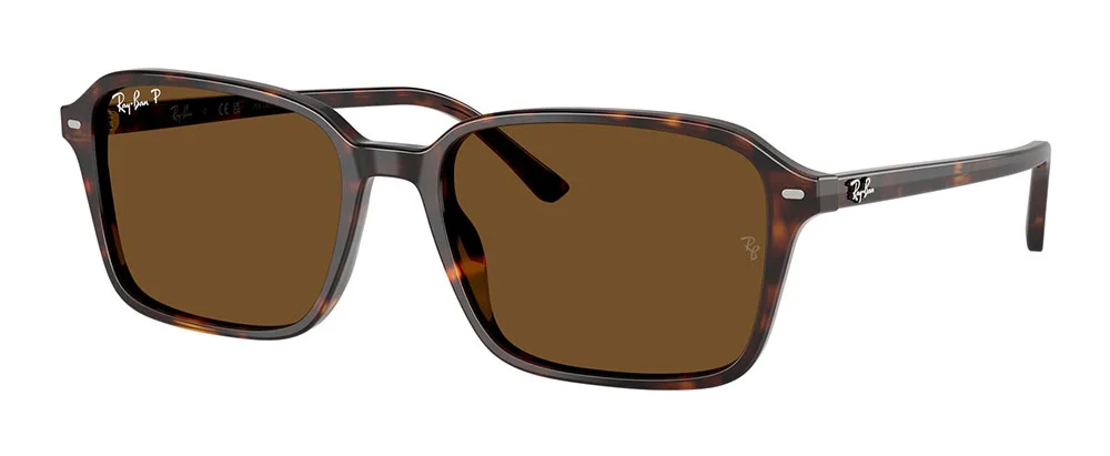 Φωτογραφία προϊόντος: RAY-BAN 2231 902/57