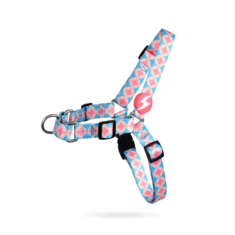 Φωτογραφία προϊόντος: DASHI Σαμαράκι Front Harness CORAL