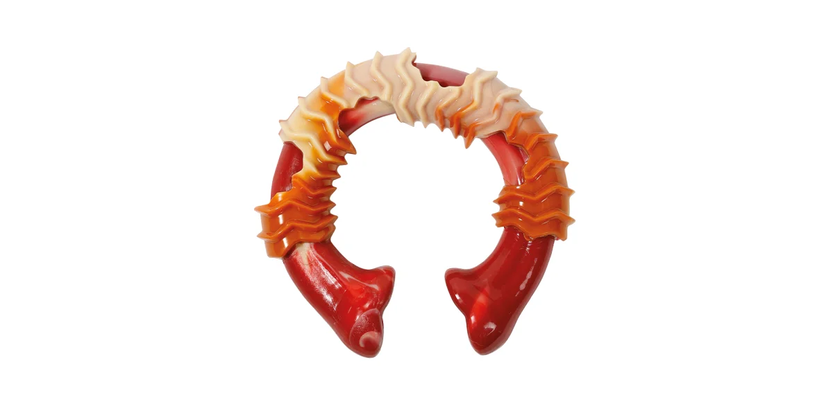 Φωτογραφία προϊόντος: M-pets Carnivore Toy Ring L 14x13.7cm