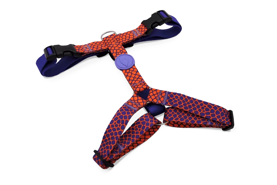 Φωτογραφία προϊόντος: MORSO H HARNESS URBAN LIZARD