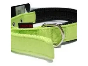 Φωτογραφία προϊόντος: NEOPRENE STANDARD COLLAR LIGHT GREEN