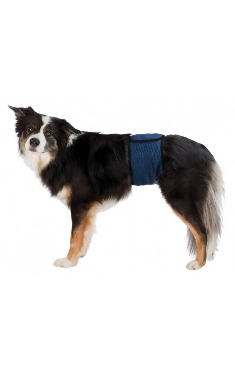 Φωτογραφία προϊόντος: Trixie Belly Bands for Male Dogs